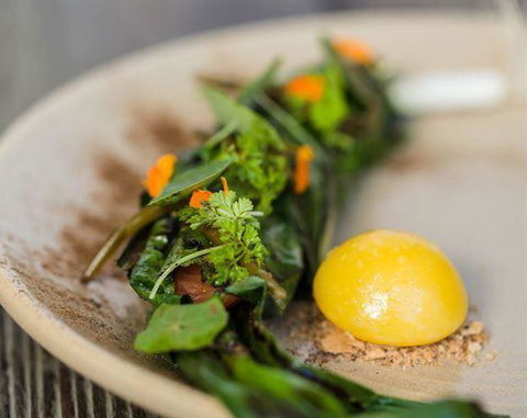 The Long Apron - Pubs Adelaide 6
