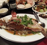 Shark Fin Inn - Pubs Adelaide