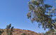 Bean Tree Cafe - thumb 6