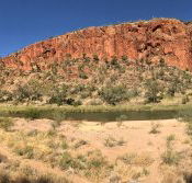 Swiss Chalet - Pubs Adelaide