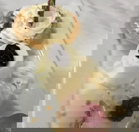 The Archie Secret Cafe - Pubs Adelaide