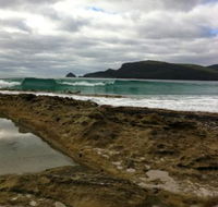 Bruny Island Berry Farm - Pubs Adelaide