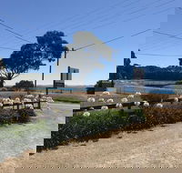 Penguin  Pardalote Coffee House - Pubs Adelaide