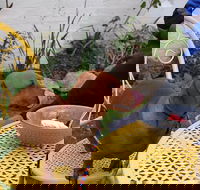 The Quilted Teapot - Pubs Adelaide