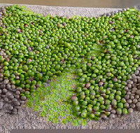 Wattle Hill Olives - Pubs Adelaide