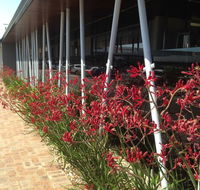 BiteZ - Pubs Adelaide