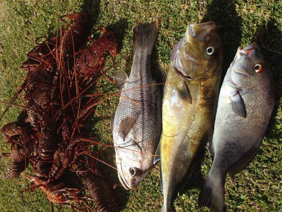 Ledge Point WA Pubs Adelaide