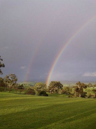 Tenafeate Creek Winery - Pubs Adelaide 0