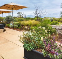 Arid Lands Botanic Garden Cafe - Pubs Adelaide