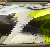 Baker Bear's Bakery - Pubs Adelaide