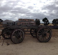 Emu Bay Lavender - Pubs Adelaide