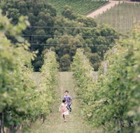 Greenhill Wines - Pubs Adelaide