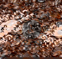 Qahwa Espresso Bar and Coffee Roasters - Pubs Adelaide