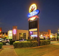 Dog  Parrot Tavern - Pubs Adelaide