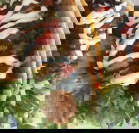 Kisseafoods - Pubs Adelaide