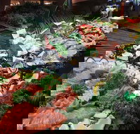 Hotel Settlers - Pubs Adelaide