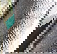 Hotel Tully - Pubs Adelaide