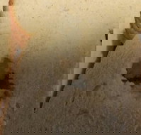 Sugarloaf Baking Co - Pubs Adelaide