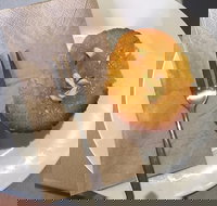 New Leaf Cafe Murwillumbah - Pubs Adelaide