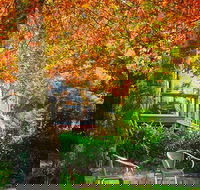 The Woods Ravensbourne - Pubs Adelaide