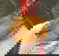 Uki Pies - Pubs Adelaide