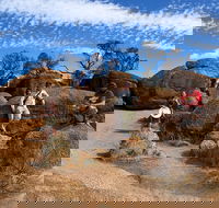 The Big Wave Rock Private Day Tour - Pubs Adelaide