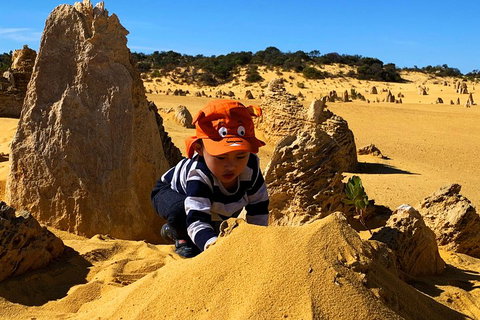 Perth Kids Explorer (Private) Day Tour - Pubs Adelaide 3