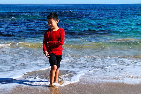 Perth Kids Explorer (Private) Day Tour - Pubs Adelaide 4