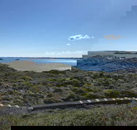 Penguin Island And Fremantle - Canoe Chocolate  Coffee - Pubs Adelaide