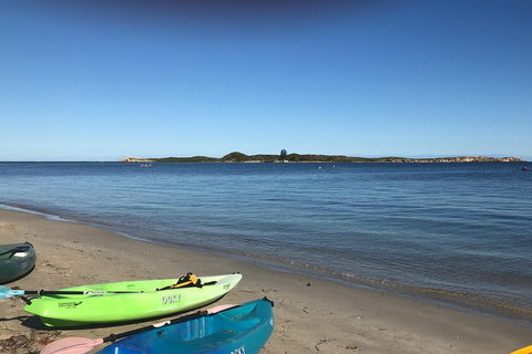 Penguin Island And Fremantle - Canoe, Chocolate & Coffee - Pubs Adelaide 2