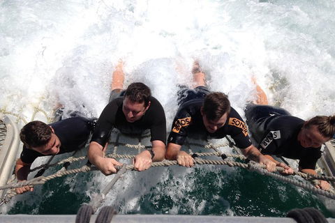 Cruise In Moreton Bay Marine Park And Moreton Island - Pubs Adelaide 0