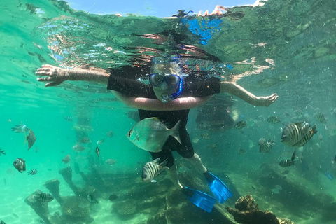 Cruise In Moreton Bay Marine Park And Moreton Island - Pubs Adelaide 5