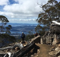 kunanyi / Mt Wellington Explorer Bus - 2 Hour Return Tour - Pubs Adelaide