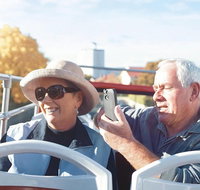 Kunanyi/Mt Wellington Tour  Hobart Hop-On Hop-Off Bus - Pubs Adelaide