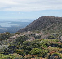 kunanyi/Mt Wellington Explorer Bus - One Way Tour - Pubs Adelaide