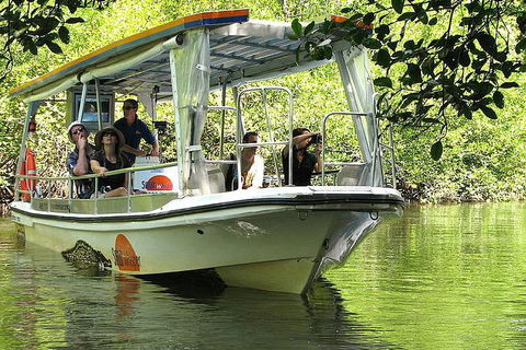 5-Day Best Of Cairns With Daintree, Kuranda, And Great Barrier Reef - Pubs Adelaide 1