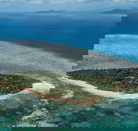 4-Day Cairns with Great Barrier Reef and Daintree Rainforest - Pubs Adelaide