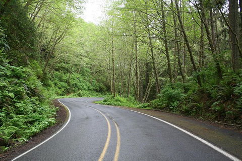 Cruise Ship Shore Excursion - Private Great Ocean Road Full Day Tour (12 Hour) - Pubs Adelaide 3
