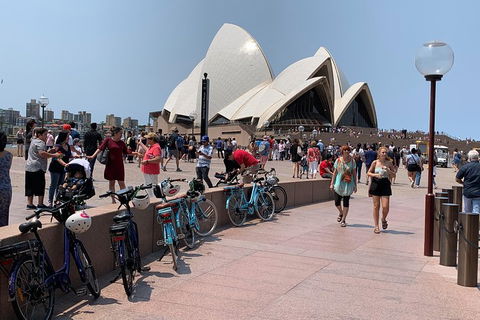 The Big Easy - Pubs Adelaide 4