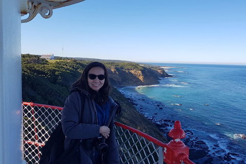 Great Ocean Road Full Day Private Experience - Pubs Adelaide 1