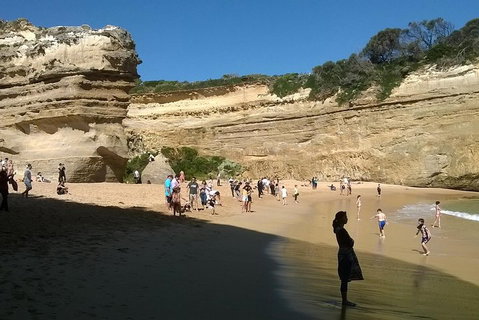 Great Ocean Road Full Day Private Experience - Pubs Adelaide 3
