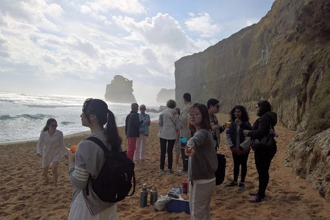 Great Ocean Road Full Day Private Experience - Pubs Adelaide 4