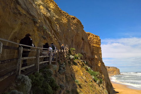 Private Express Experience - 12 Apostles - Pubs Adelaide 3