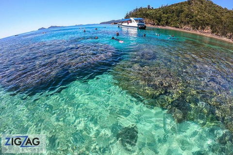 Whitehaven Beach Day Tour With Snorkel In Whitsundays Island - Pubs Adelaide 5