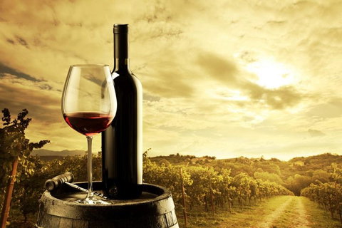 McLaren Vale Luxury Wine Tour - Pubs Adelaide 0