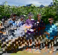 Adelaide Hills and Hahndorf - Half Day Private Tour - Pubs Adelaide