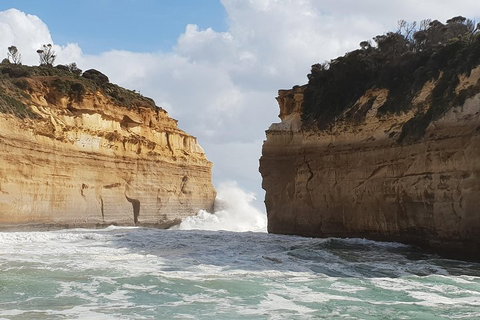 12 Apostles Tour From Warrnambool - Pubs Adelaide 2