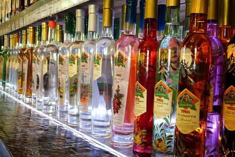 Bar & Brewery Tour - Pubs Adelaide 4