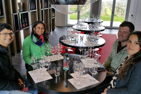Luxury Private Mclaren Vale Wine Tour - Pubs Adelaide 1