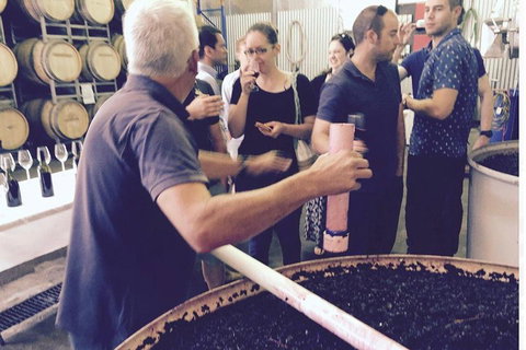 Luxury Private Mclaren Vale Wine Tour - Pubs Adelaide 4